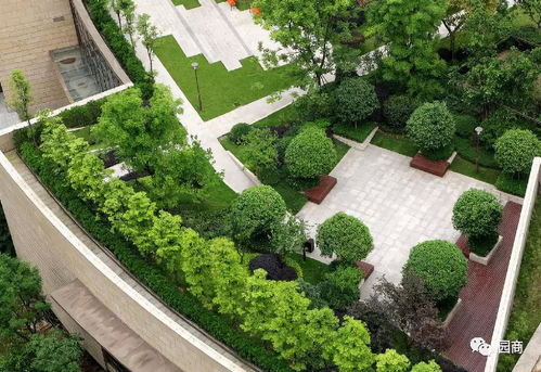屋頂園林景觀設計 建筑工程中的空中綠洲